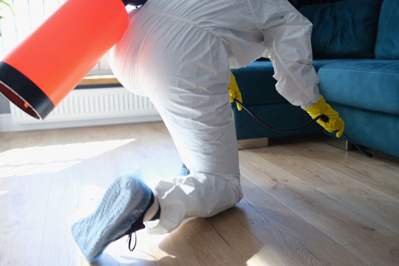 Carpet Beetle Extermination in Frisco, TX